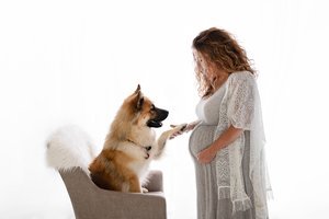 PREGNANCY PHOTOS GRAND JUNCTION
