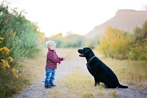 Grand Junction Childrens Photographer