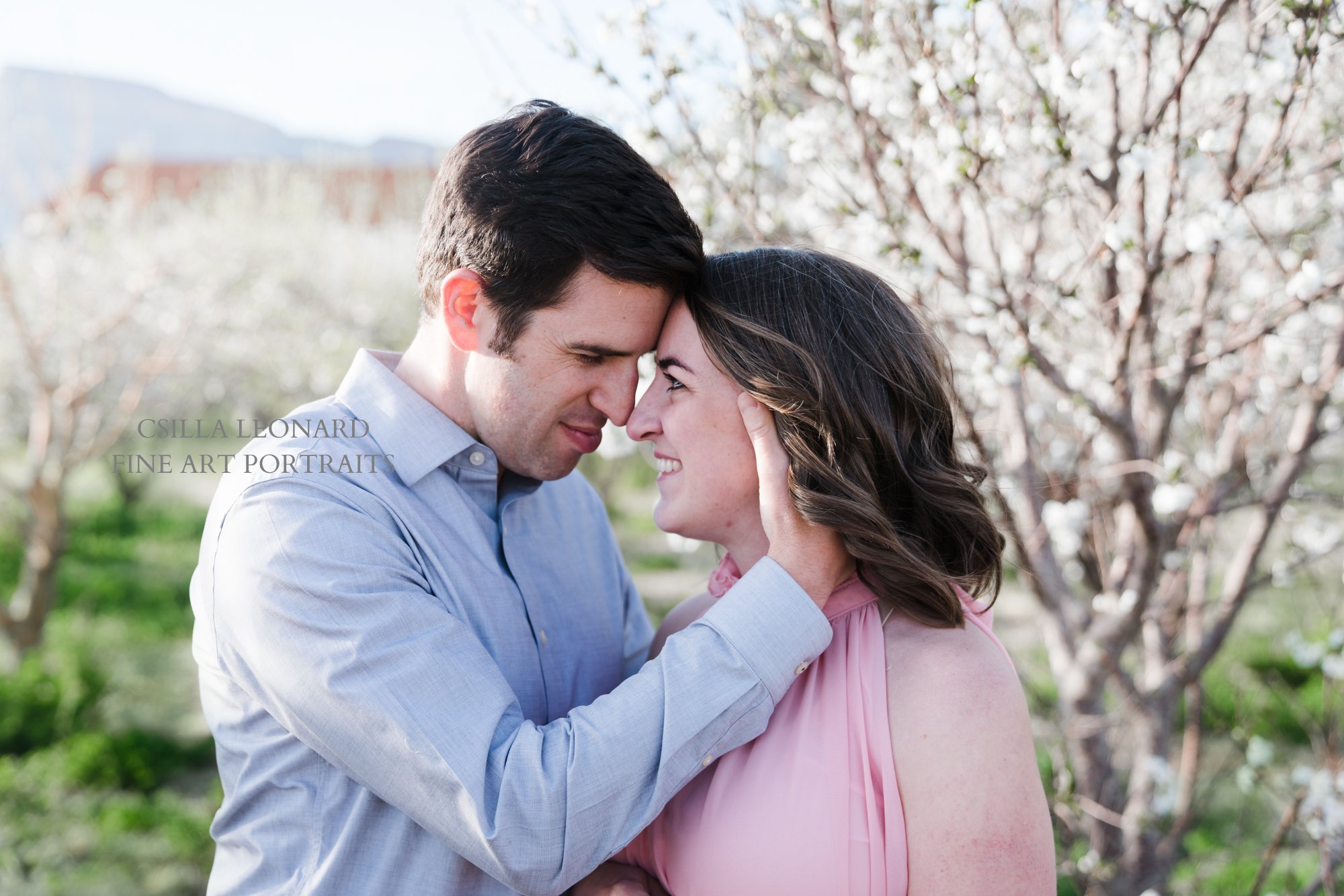 Couple Maternity Photos Grand Junction (6)