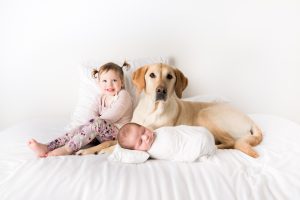 pet photographer grand junction