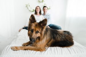 pet photographer grand junction