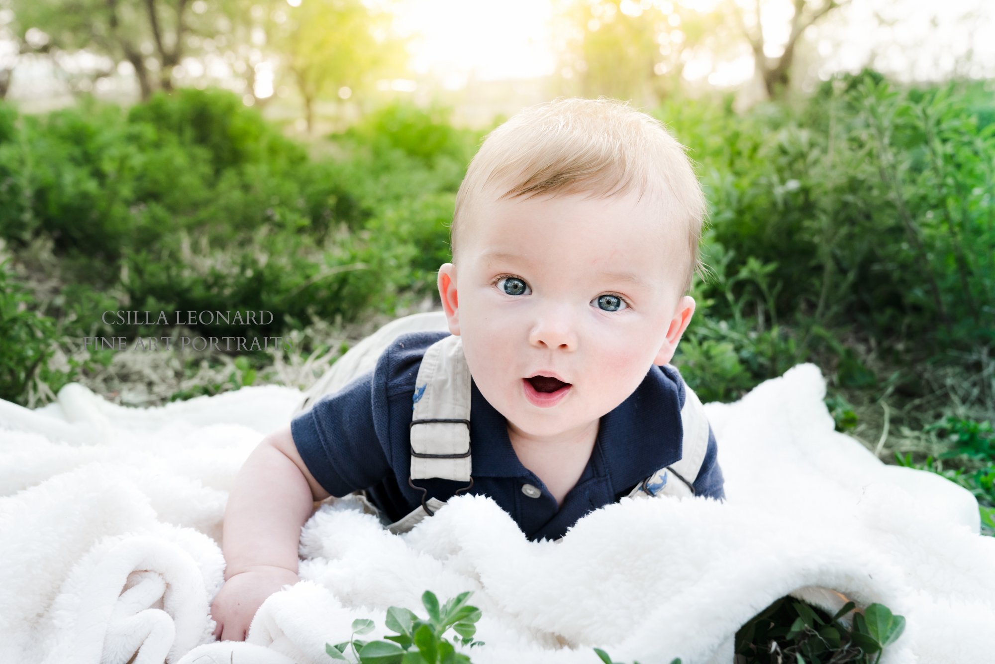 Baby Oliver Baby Milestone Pictures Grand Junction Baby Oliver Baby Milestone Pictures Grand Junction