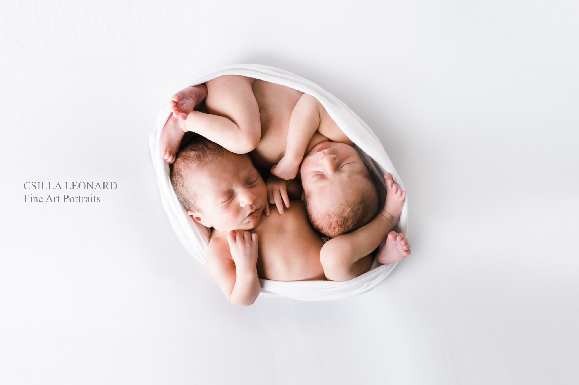 Grand Junction Newborn Photographer Twins (13)