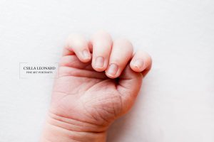 Baby Portrait Studio Grand Junction (21)