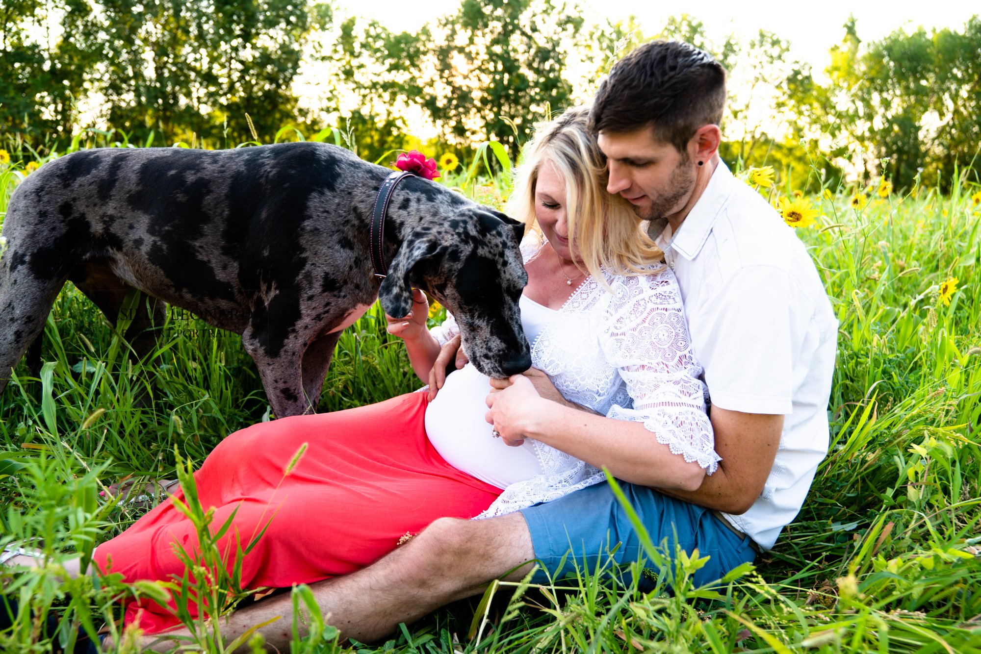 Professional Pregnancy Photos Grand Junction (11)