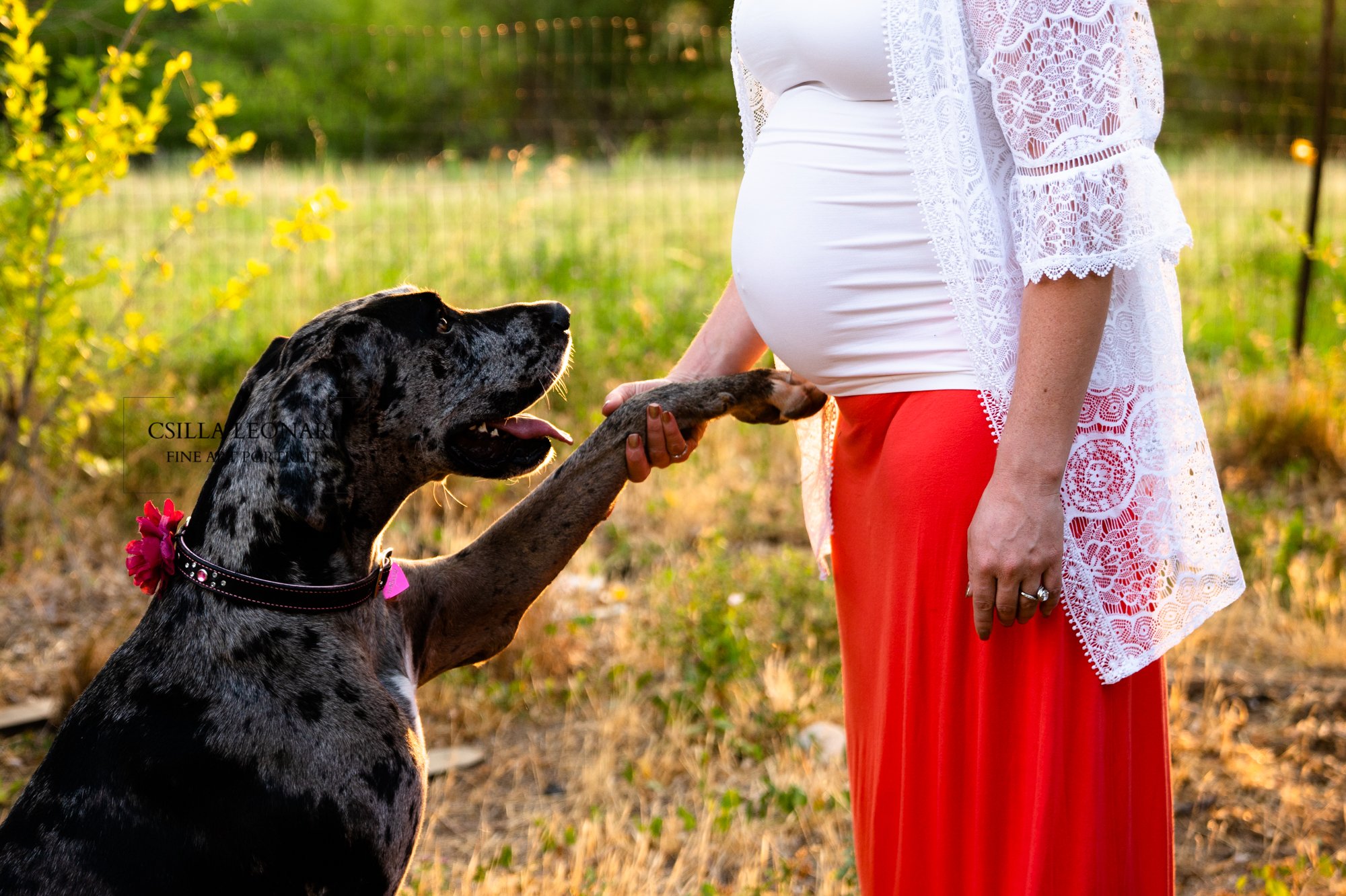 Professional Pregnancy Photos Grand Junction (6)