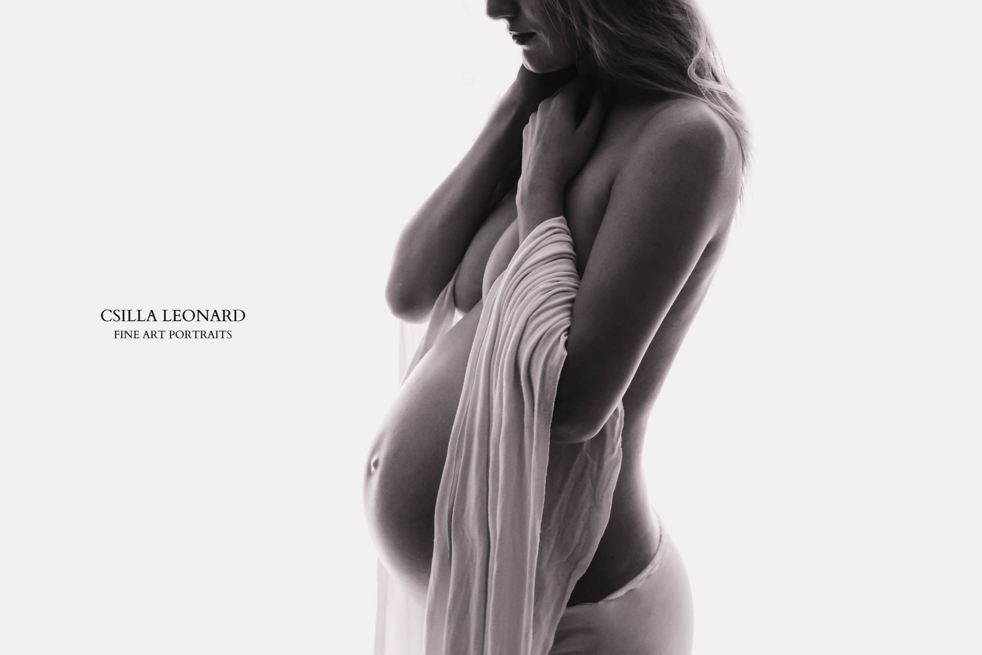 Maternity Silhouette Photos Grand Junction (4)