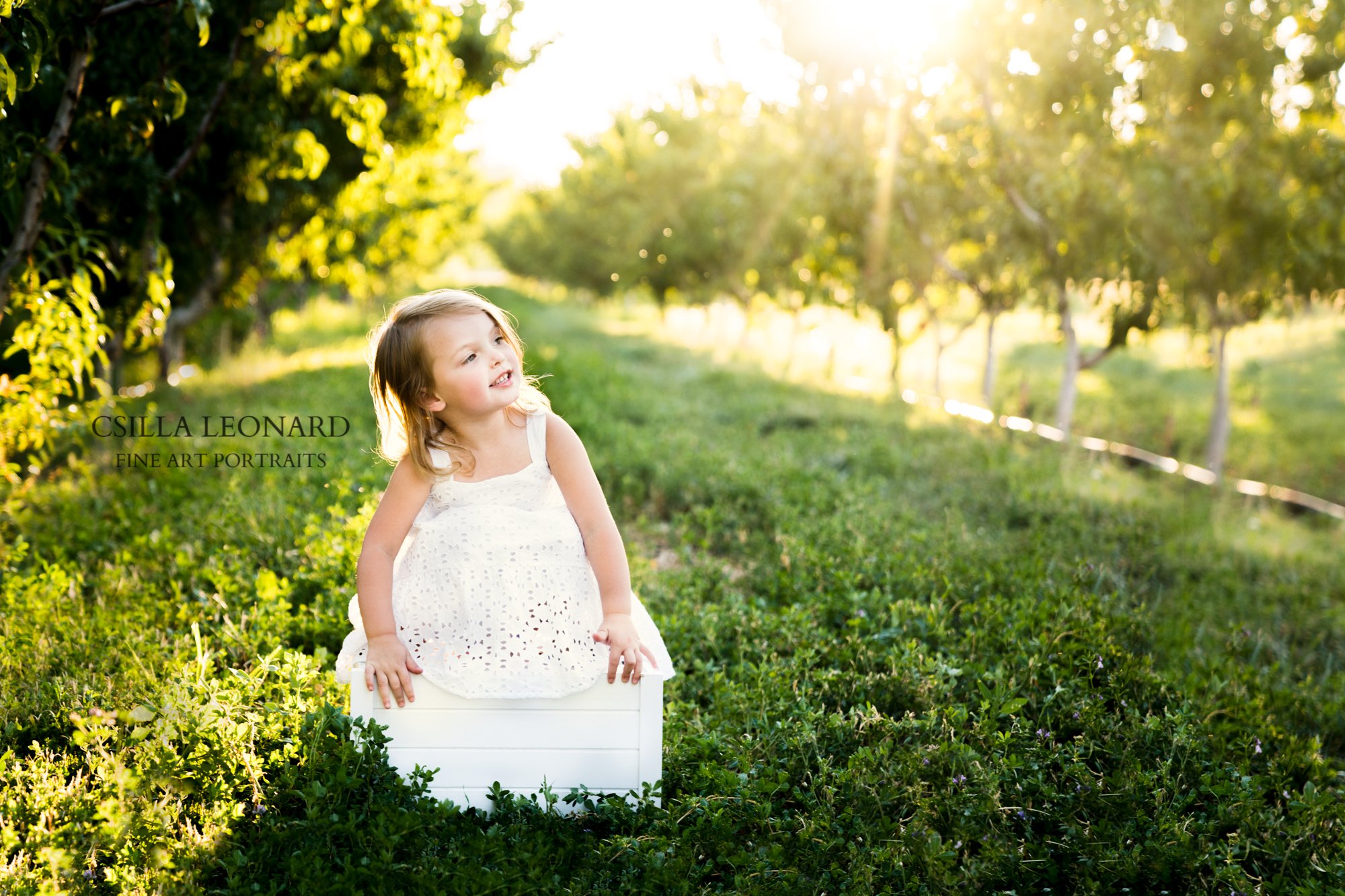Family Maternity Photography Grand Junction (2)