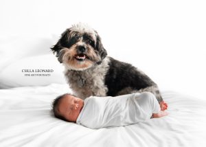 Newborn Photography Studio Grand Junction (4)