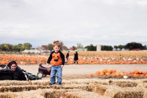 Colorado Baby Annual Studt's Pumpkin Patch Playdate (34)
