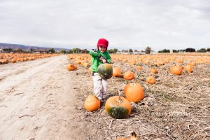 Colorado Baby Annual Studt's Pumpkin Patch Playdate (29)