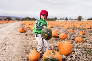 Colorado Baby Annual Studt's Pumpkin Patch Playdate (28)