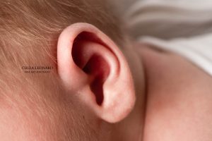 Newborn Photographer Grand Junction (31)
