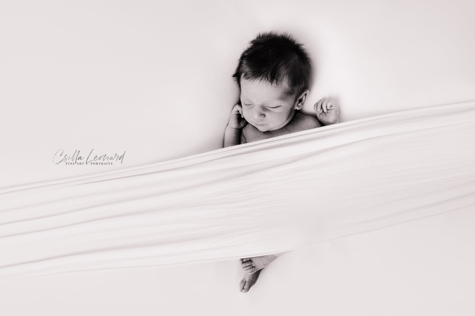 Newborn Photographer Fruita CO (3)