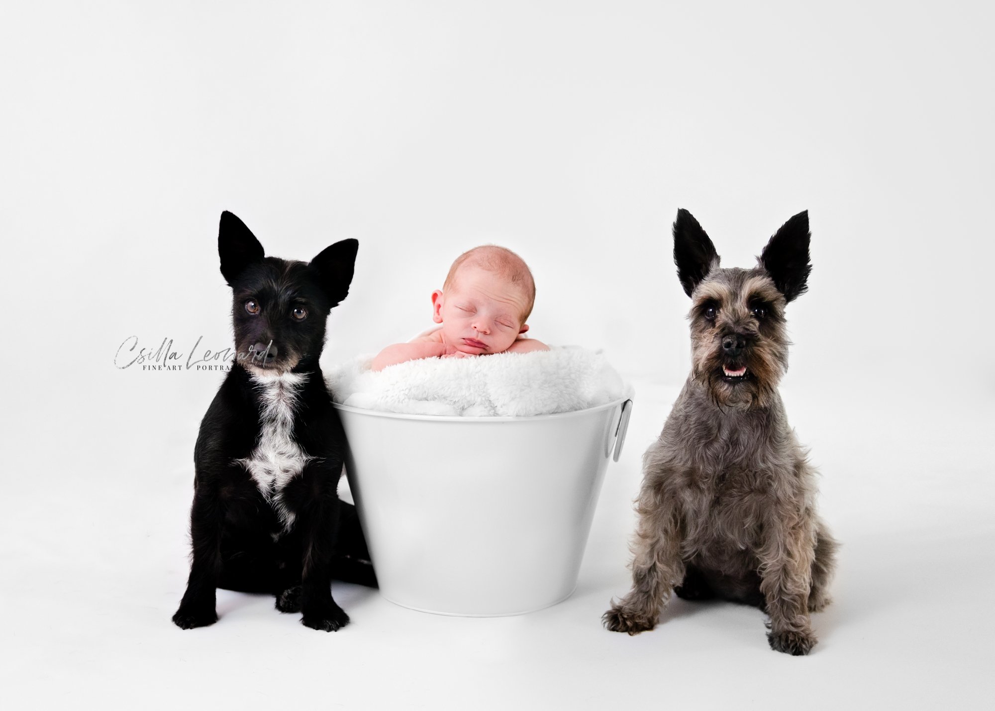 Grand Junction Baby Photographer (26)