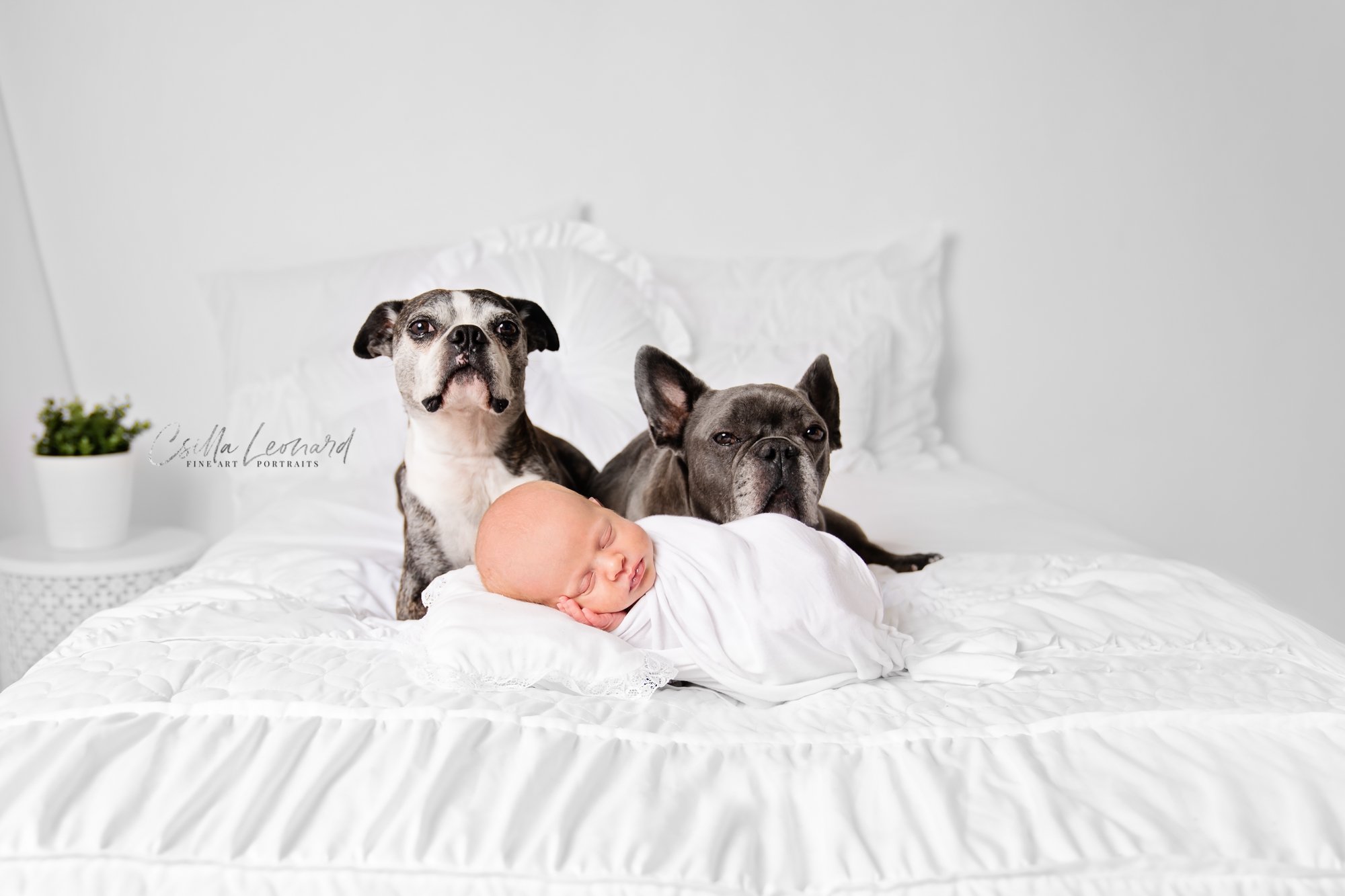 Twin Newborn Photography Grand Junction CO (24)