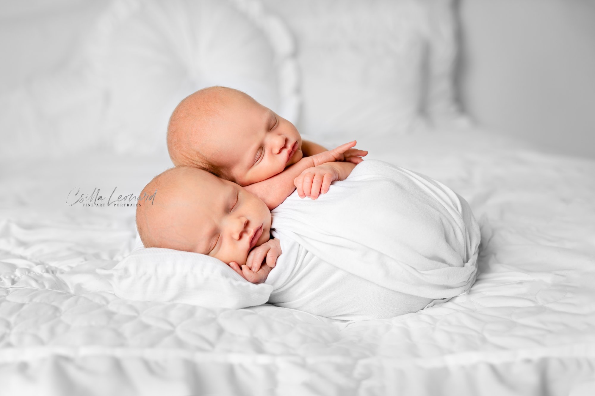 Twin Newborn Photography Grand Junction CO (20)