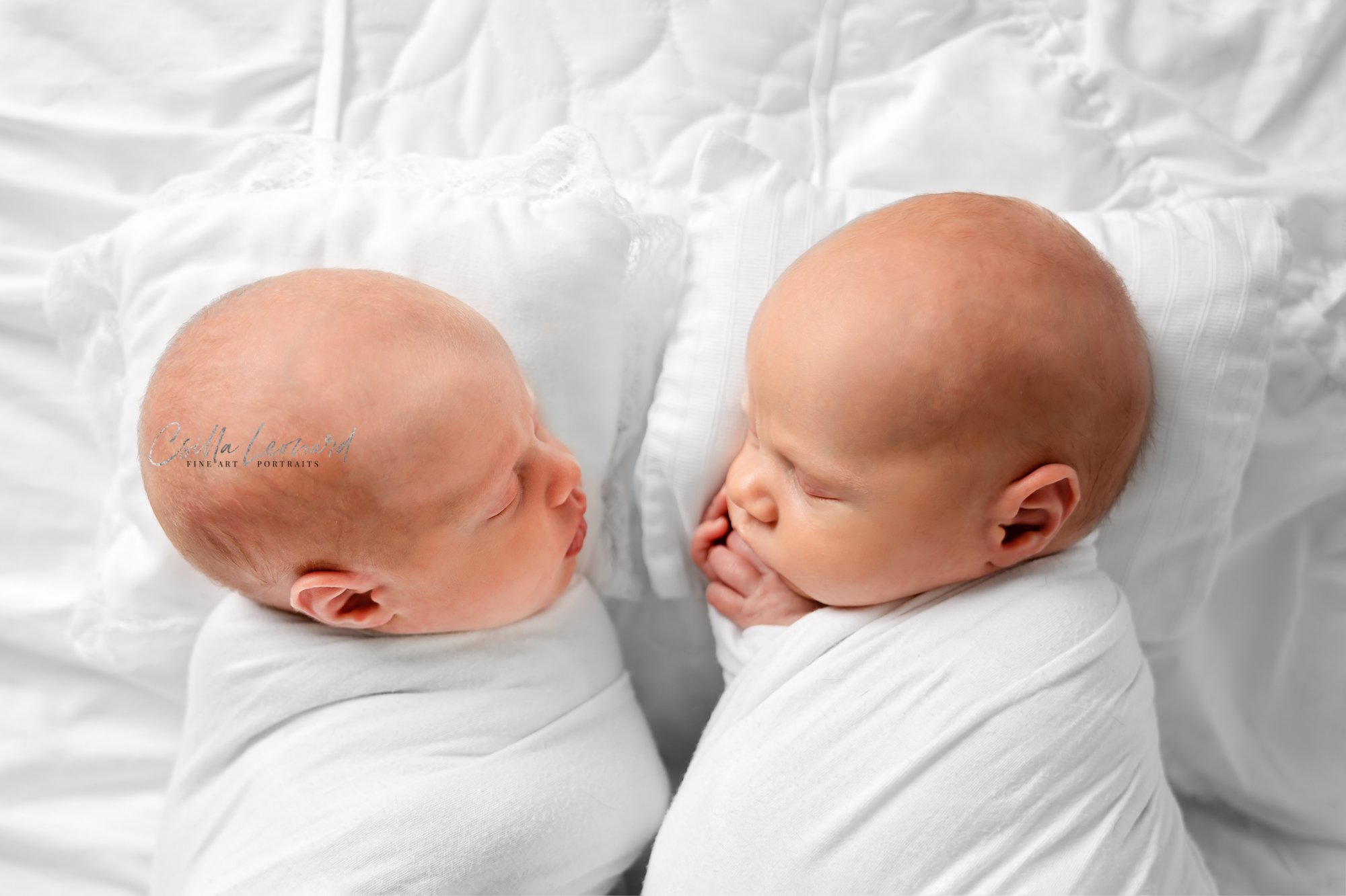 Twin Newborn Photography Grand Junction CO (18)