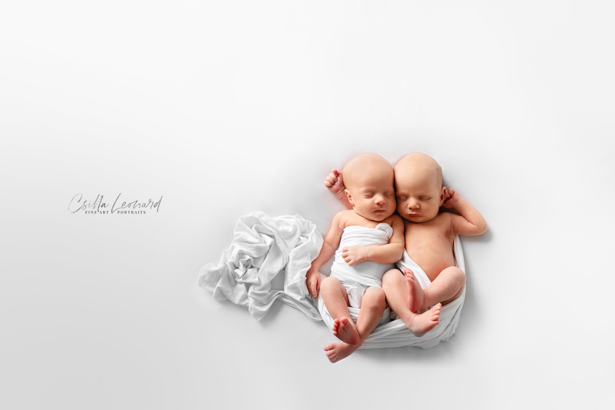 Twin Newborn Photography Grand Junction CO (15)
