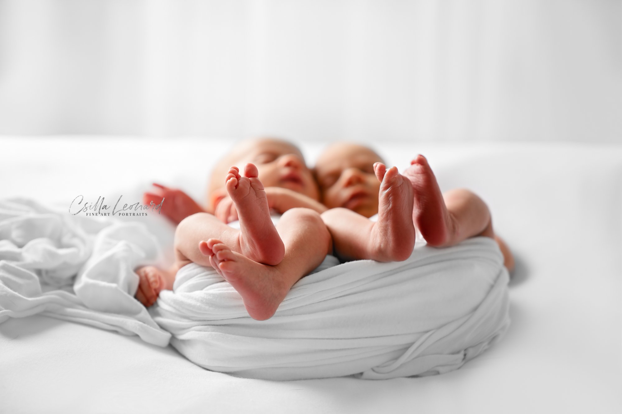 Twin Newborn Photography Grand Junction CO (13)