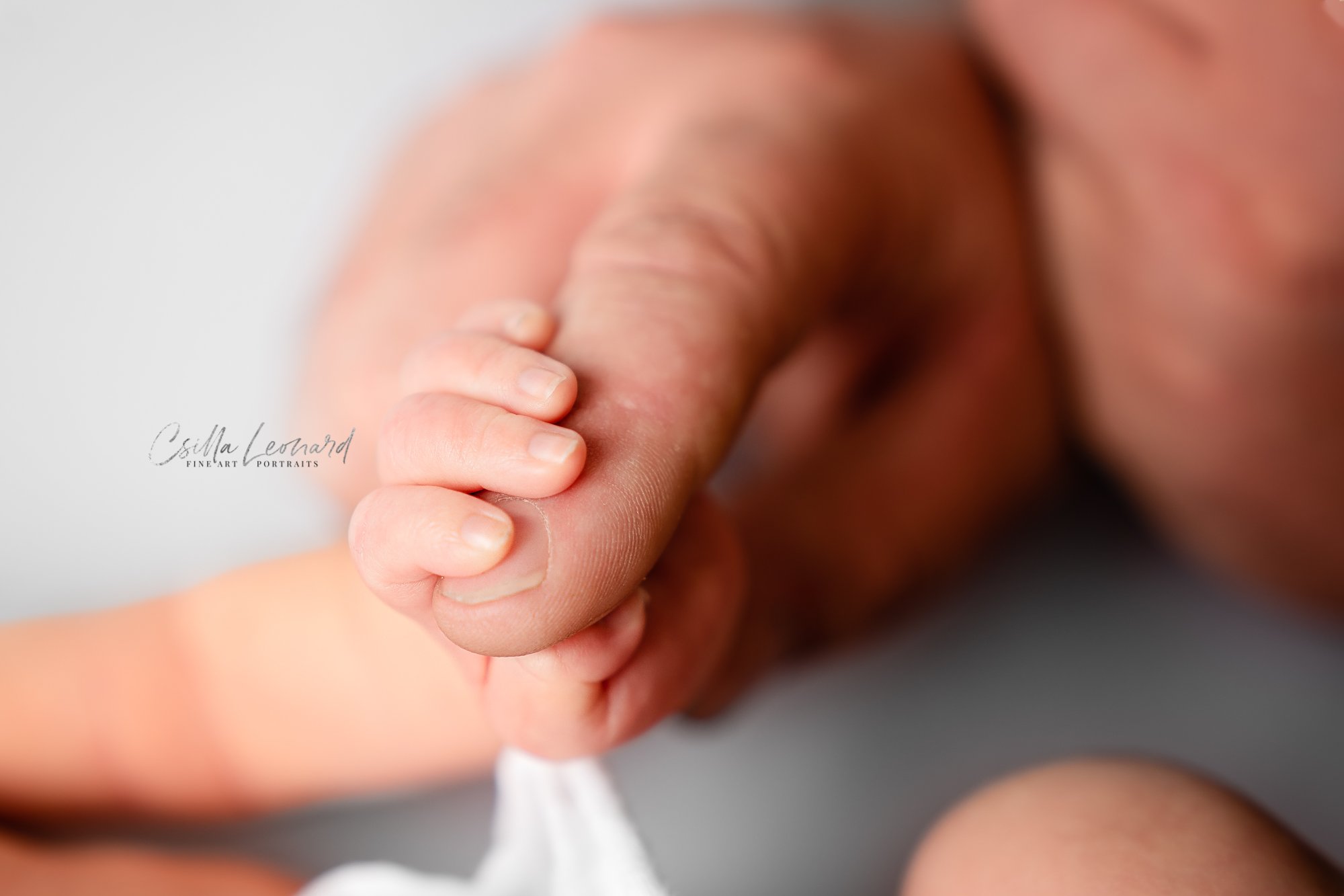Twin Newborn Photography Grand Junction CO (11)