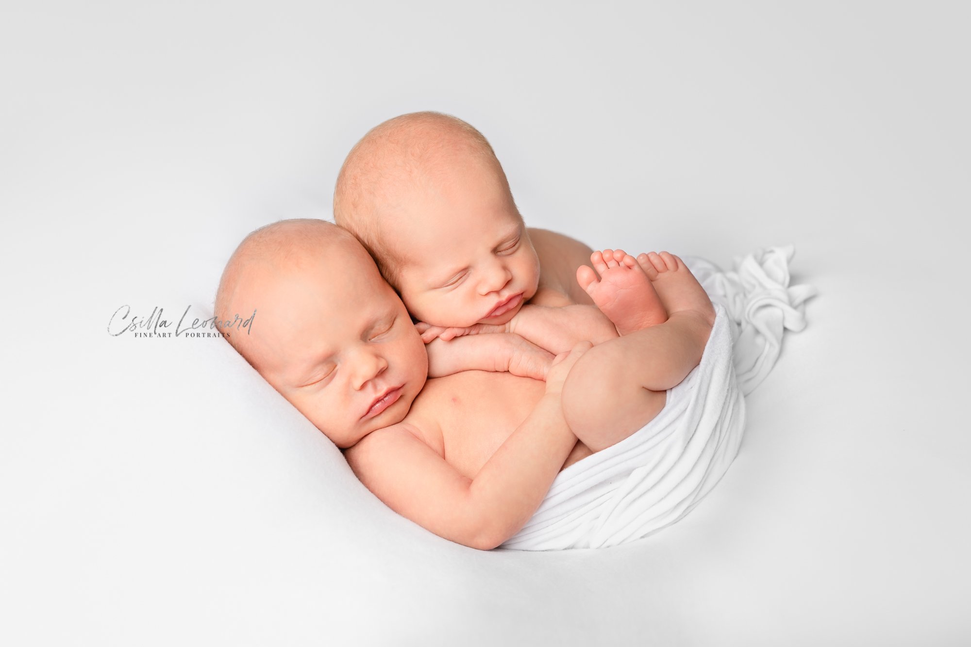 Twin Newborn Photography Grand Junction CO (2)