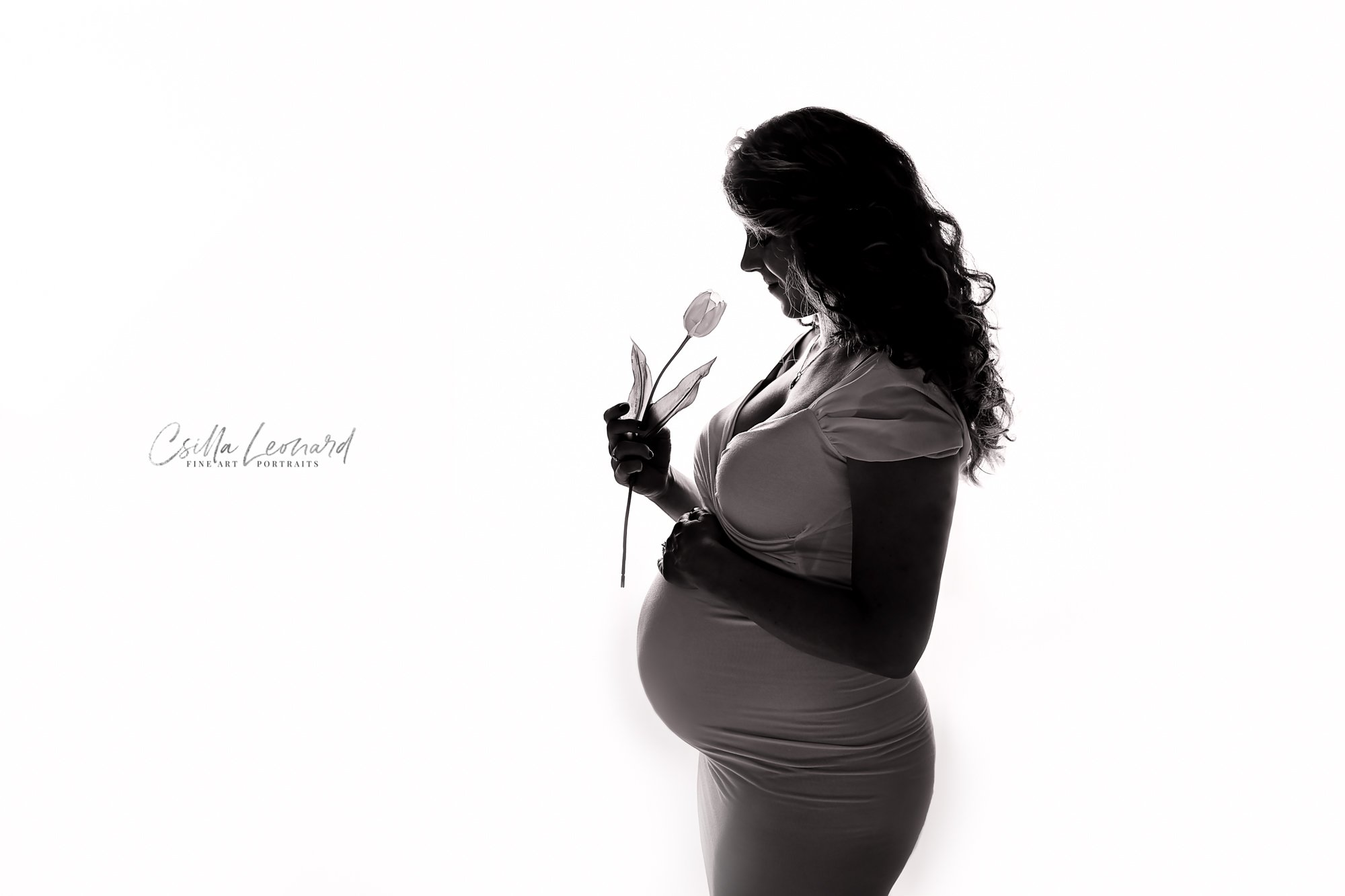 Maternity Photos Grand Junction