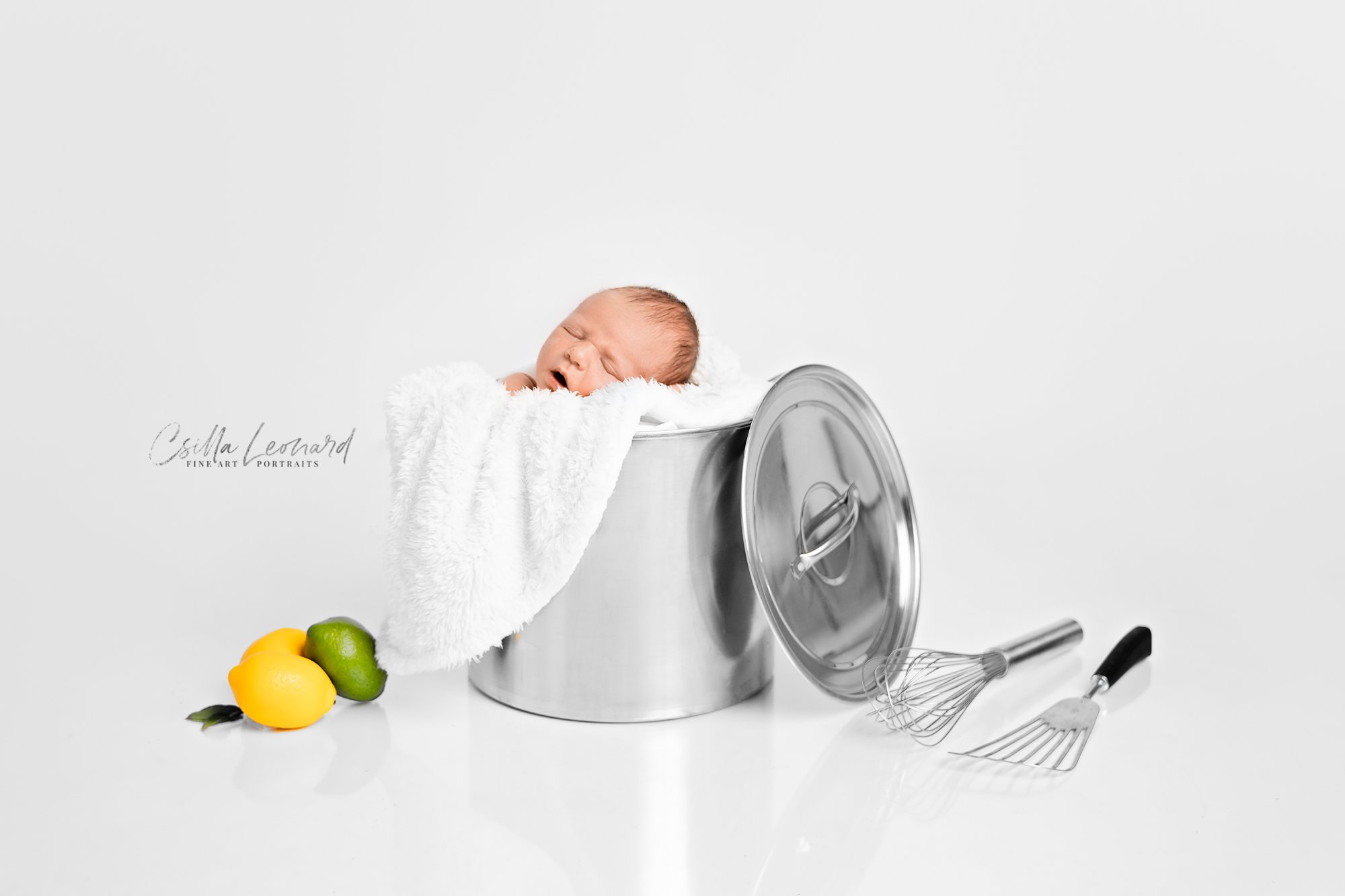 Aspen Newborn Photographer  (8)