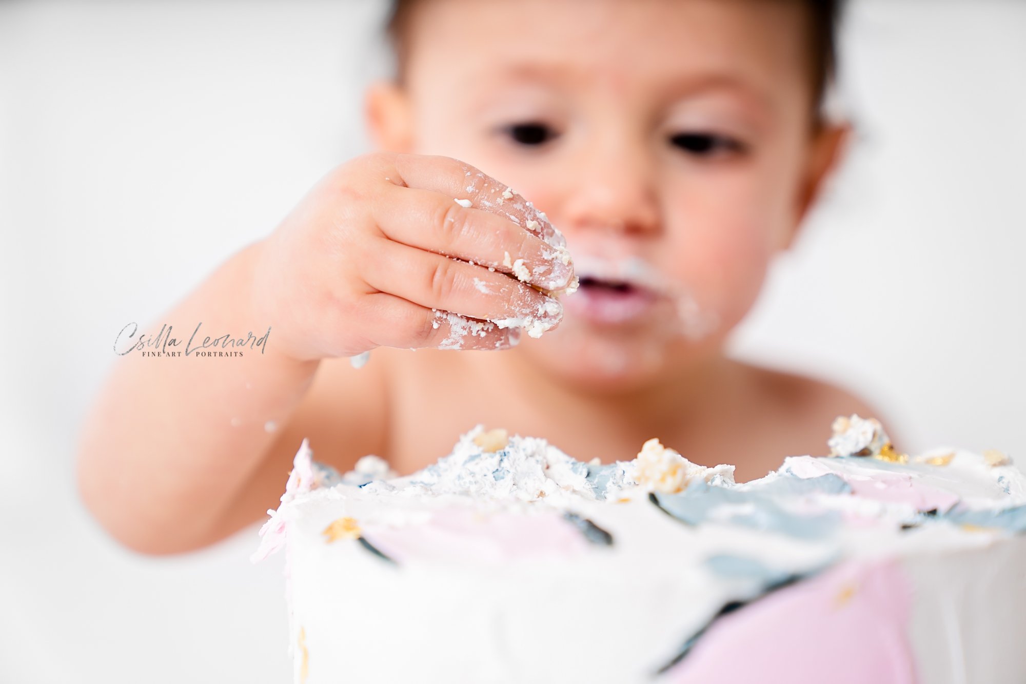 Baby Birthday Photographer Fruita Colorado (7)