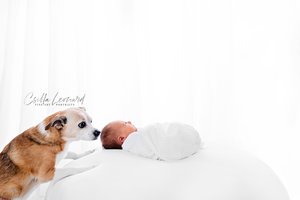 Best Baby Photography Studio Grand Junction (23)