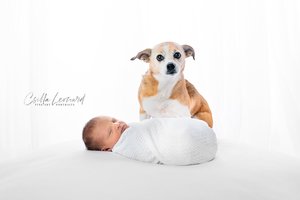 Best Baby Photography Studio Grand Junction (21)