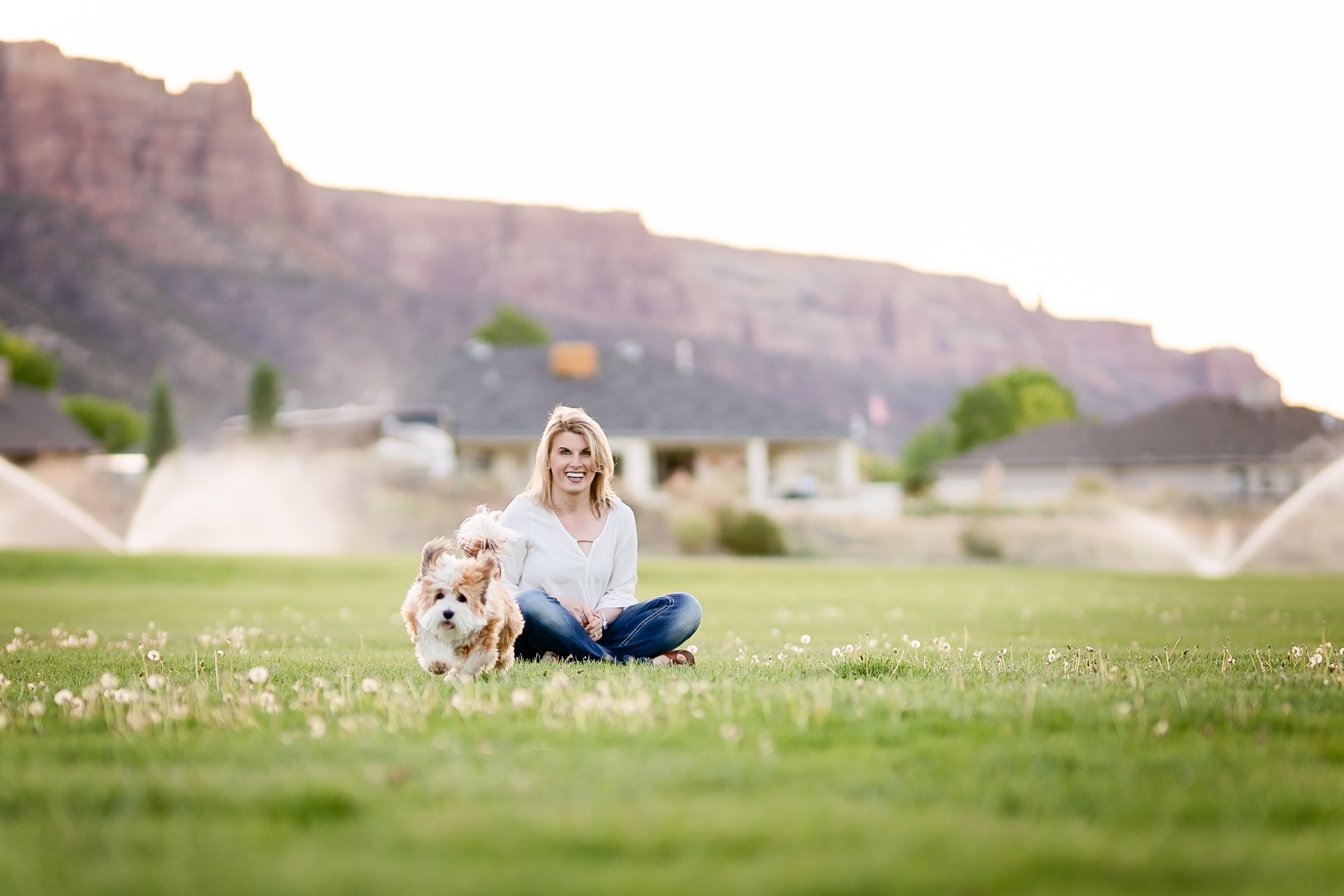 Professional Pet Portraits Grand Junction (8)