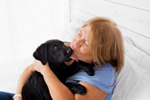 Pet Portrait Studio Grand Junction