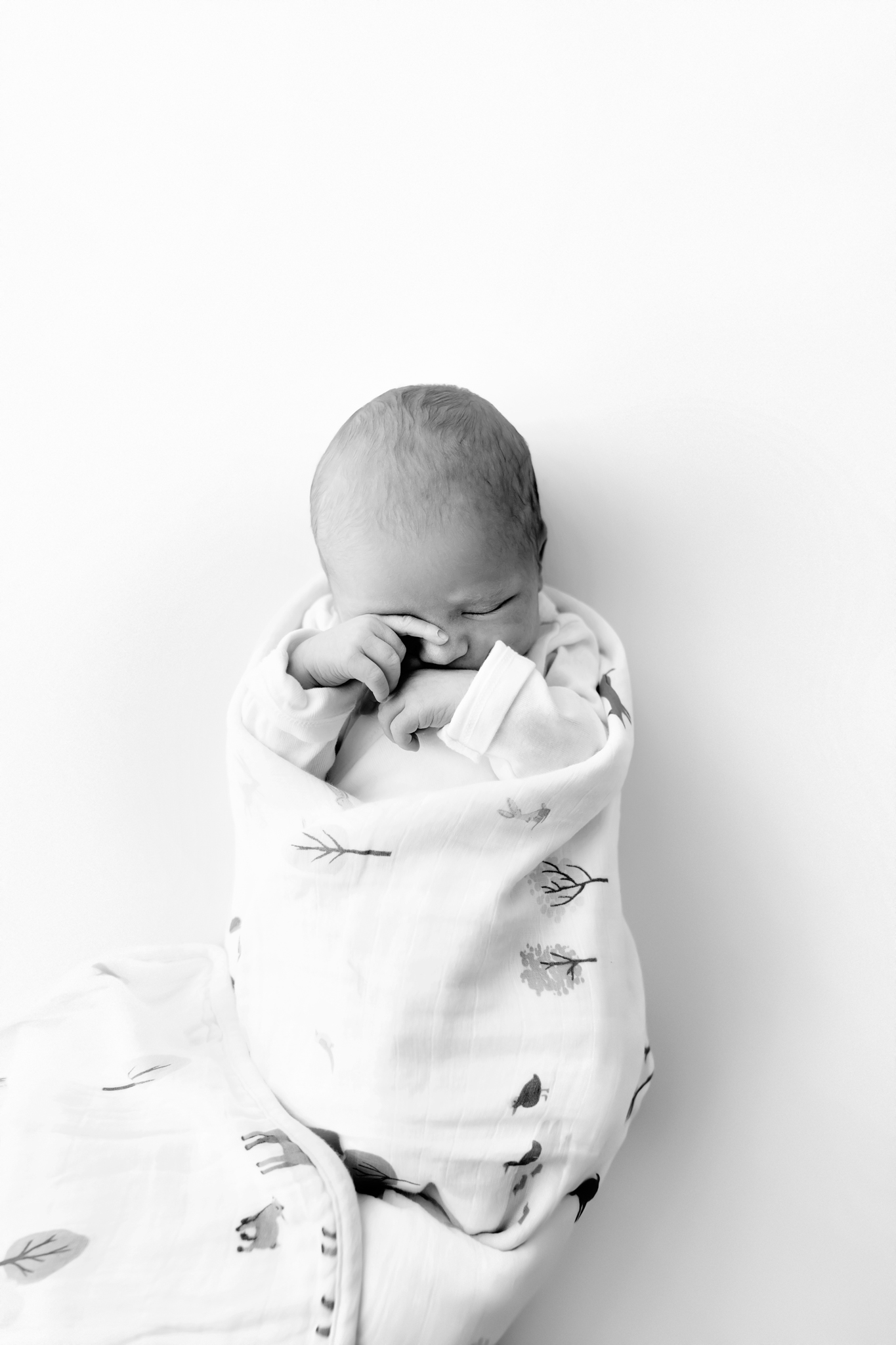 Newborn Photographer Grand Junction