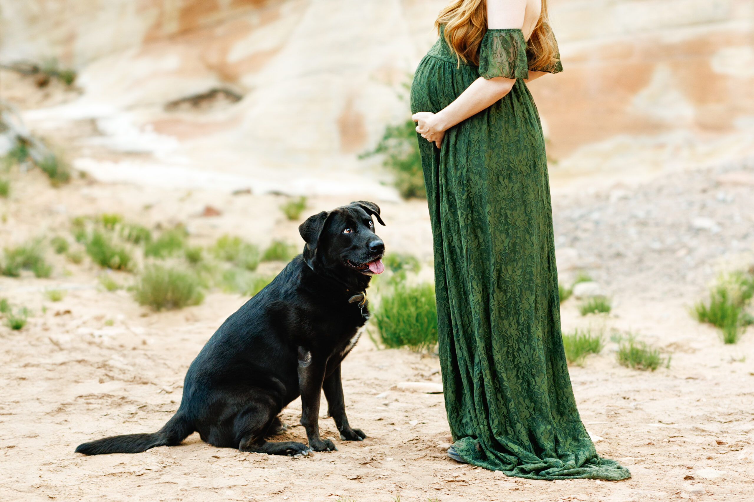 Grand Junction Maternity Photos