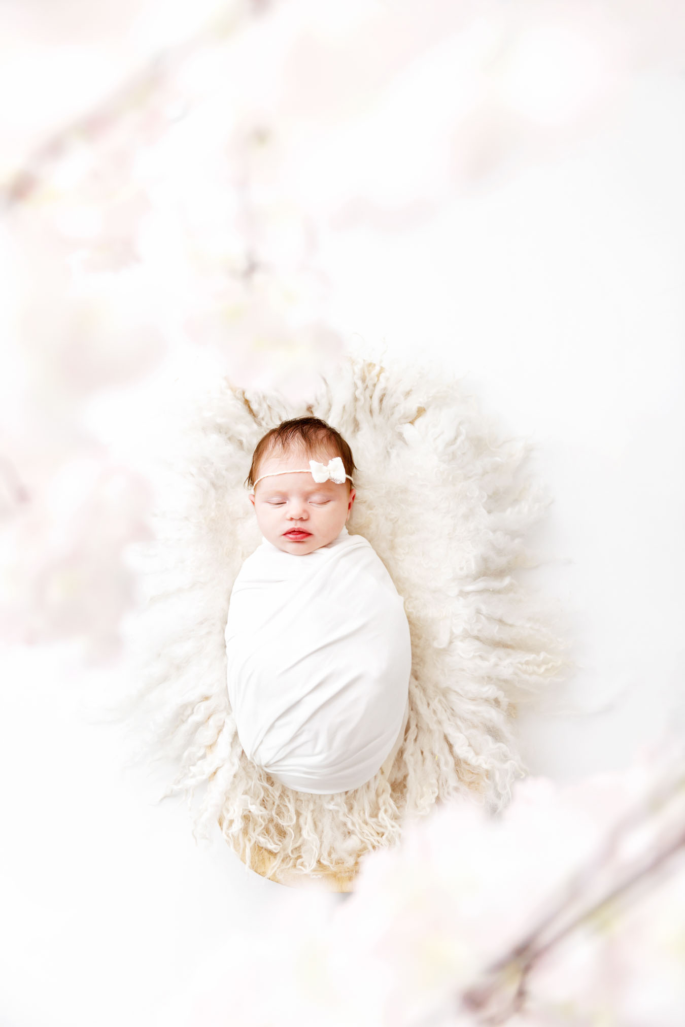 Newborn Photographer Grand Junction