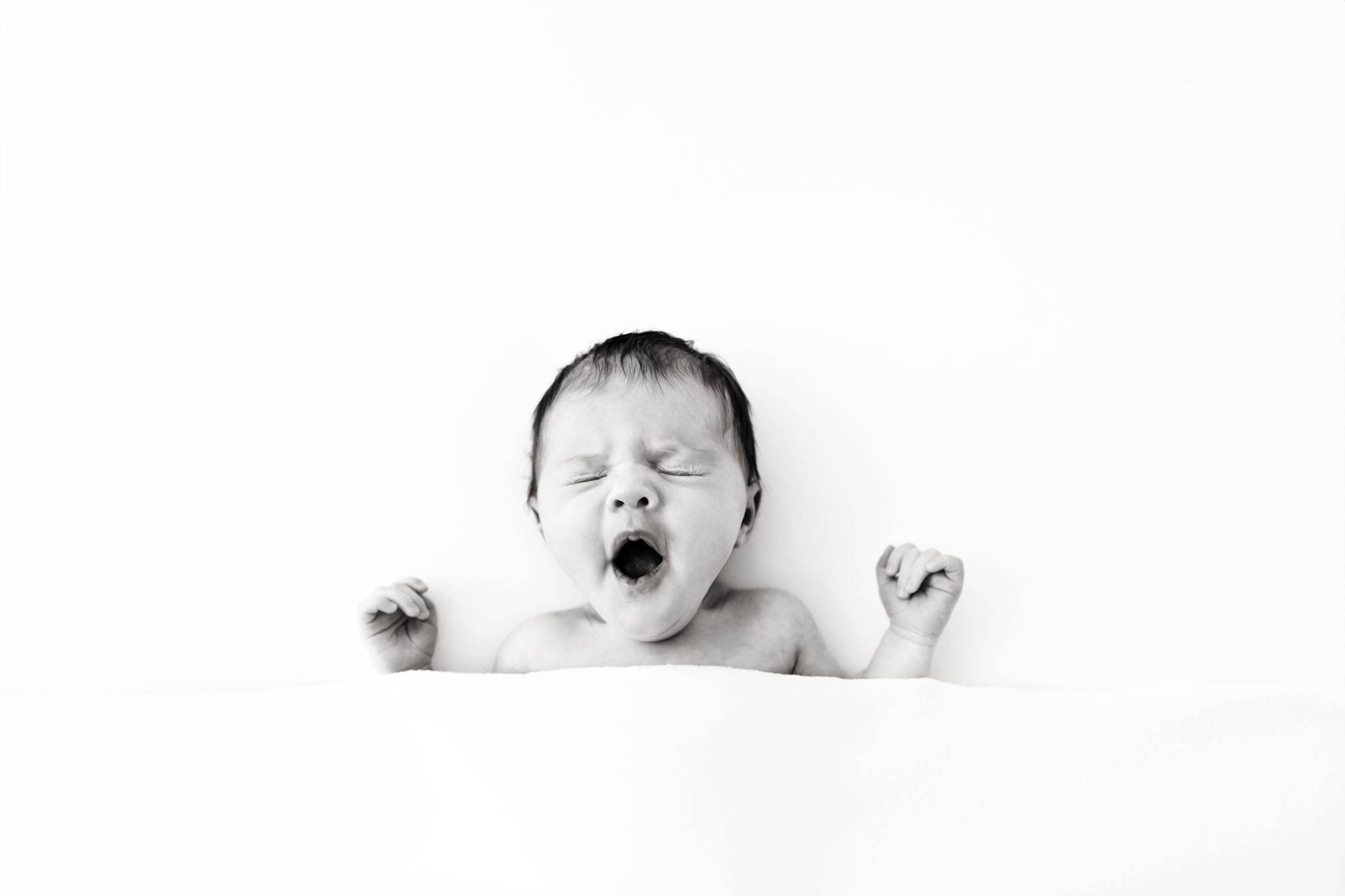 Newborn Photographer Grand Junction