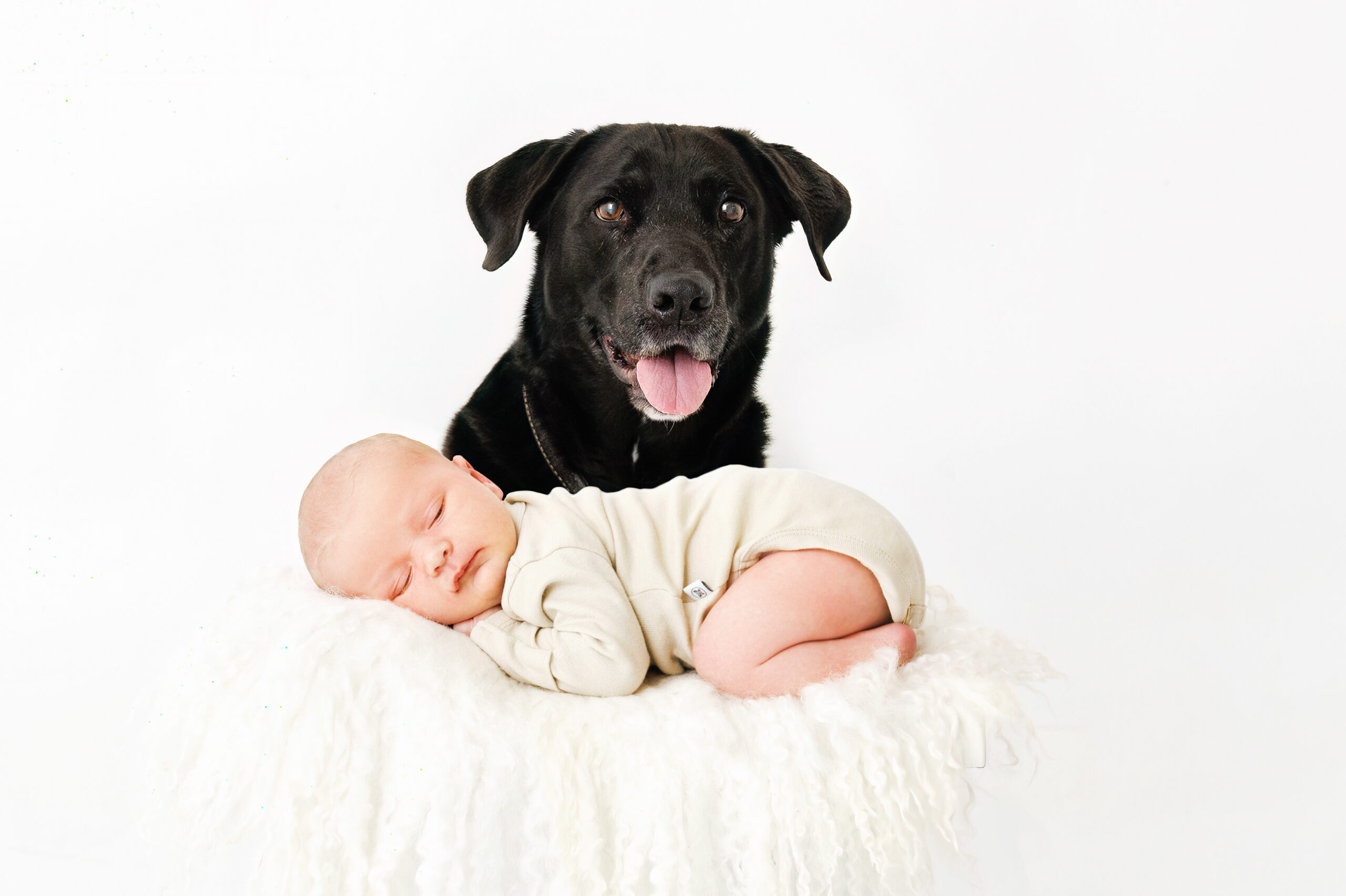 Modern Newborn Photos Grand Junction