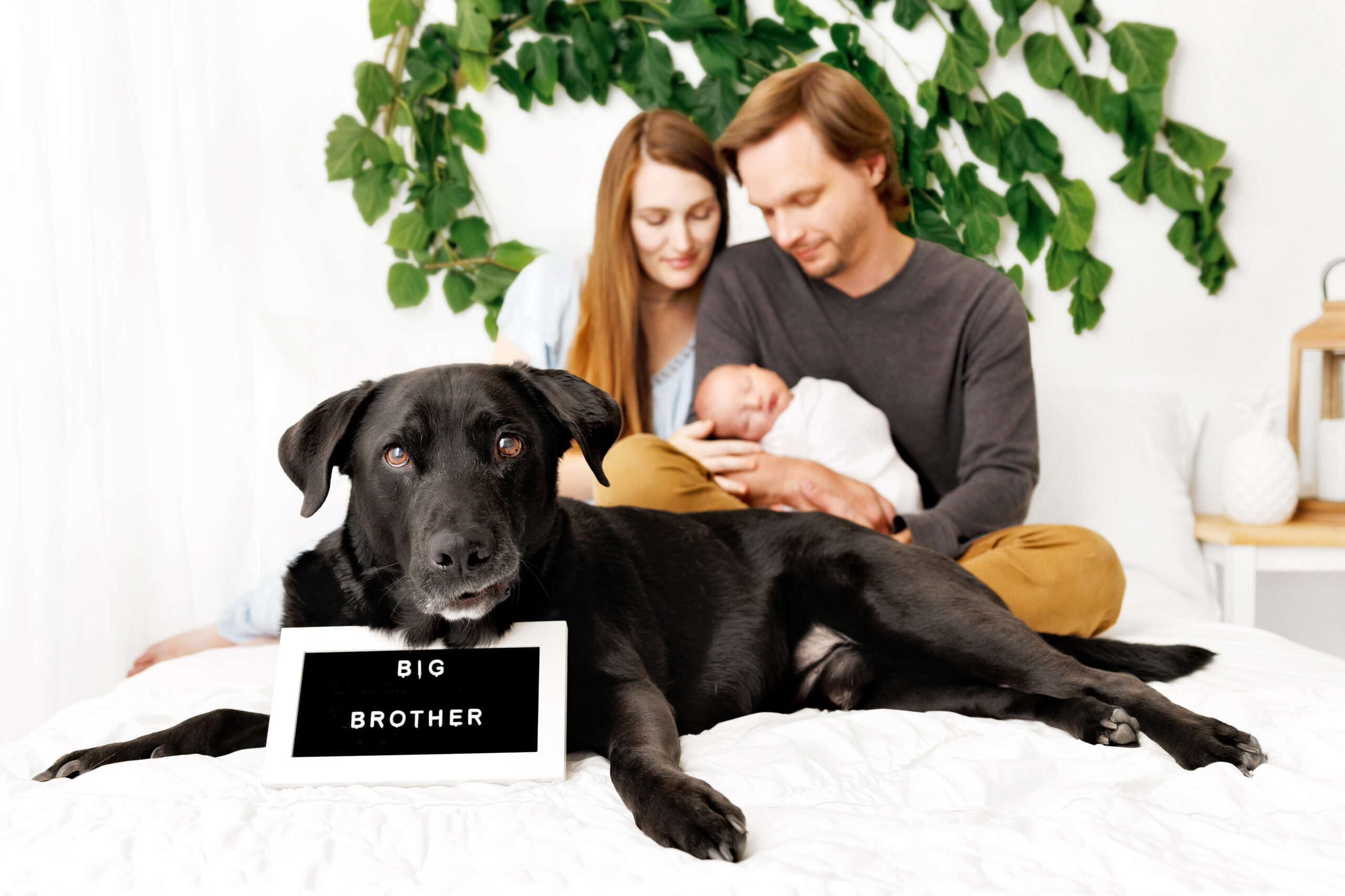 Modern Newborn Photos Grand Junction