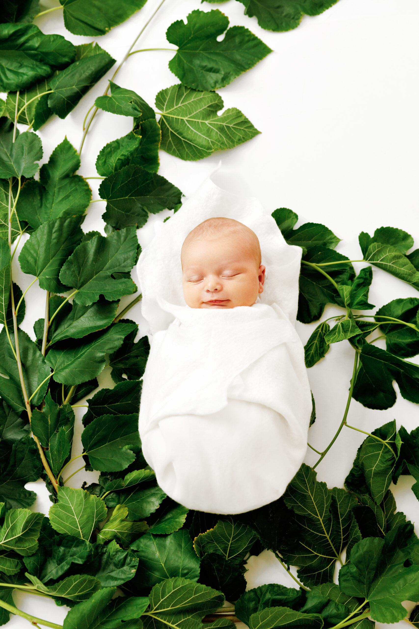 Modern Newborn Photos Grand Junction