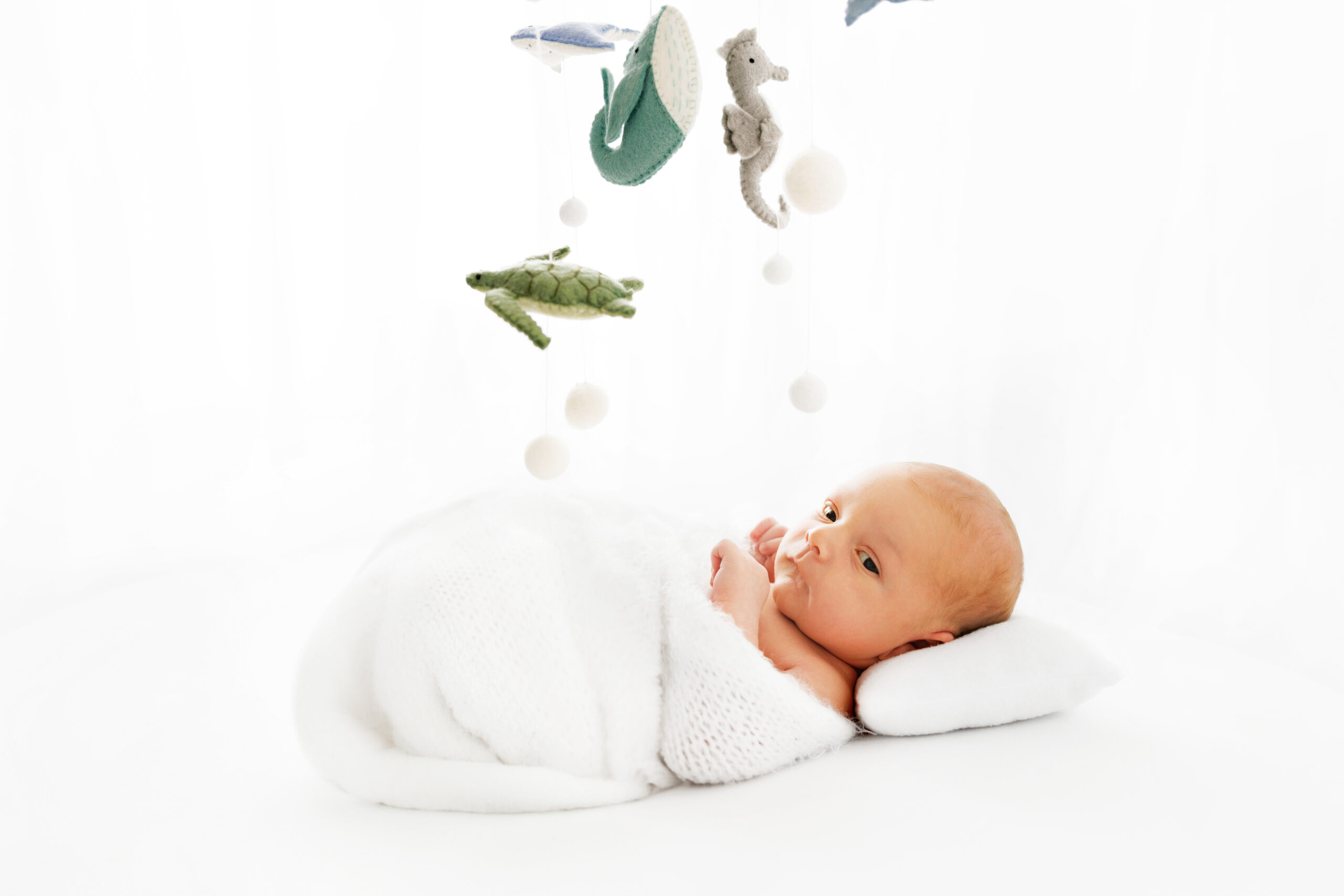 Modern Newborn Photos Grand Junction