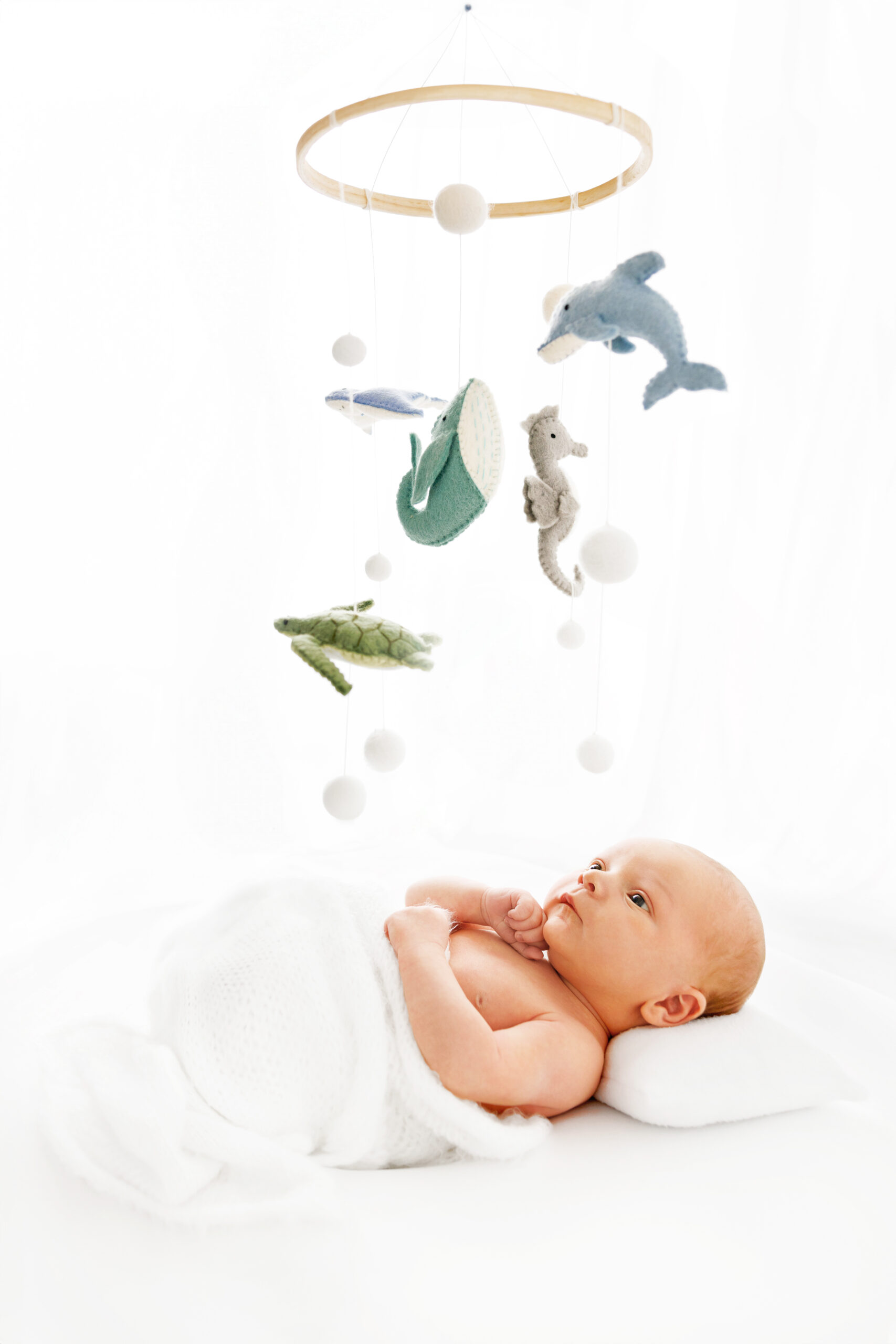 Modern Newborn Photos Grand Junction