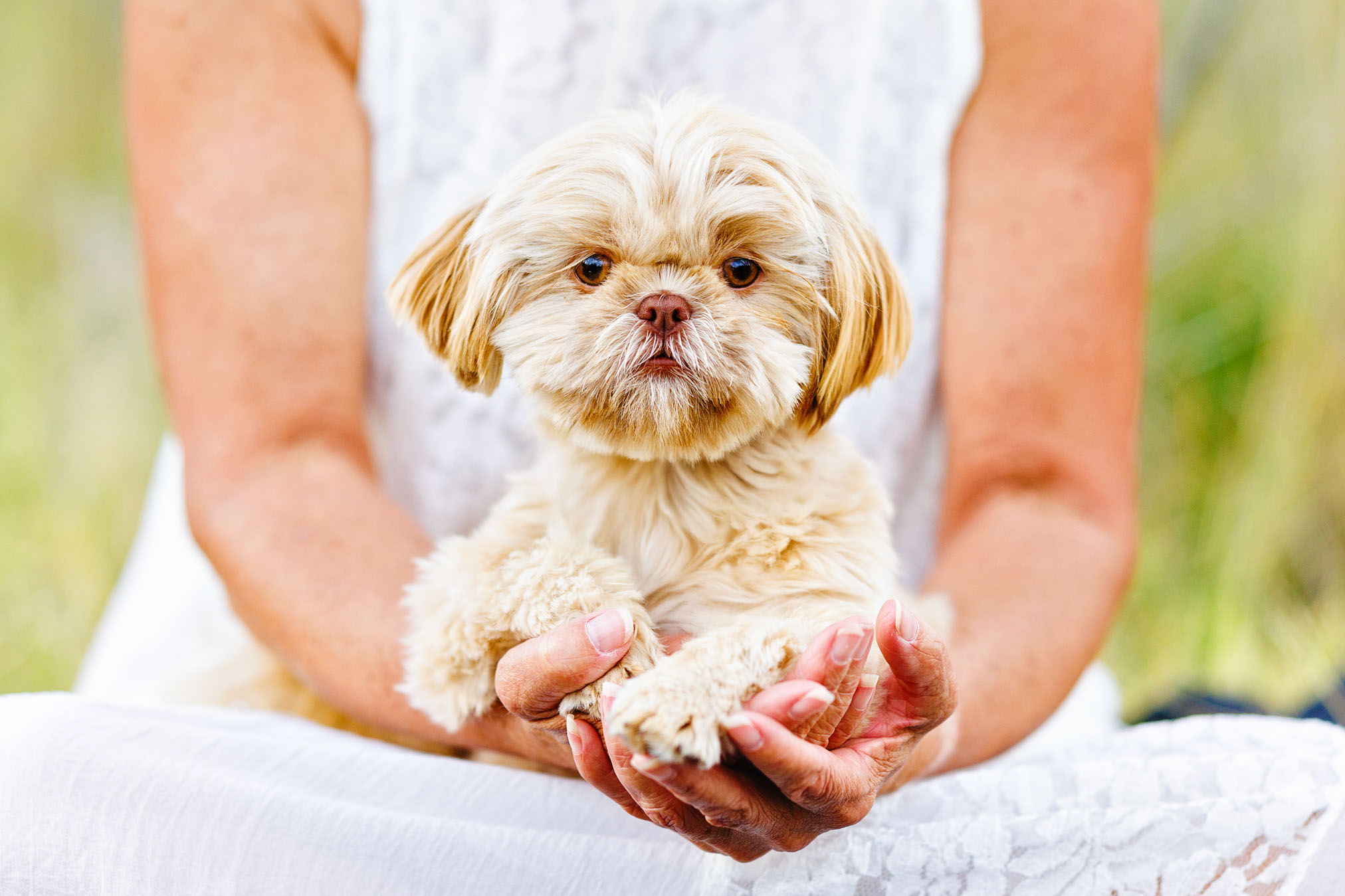 Pet Photographer Grand Junction