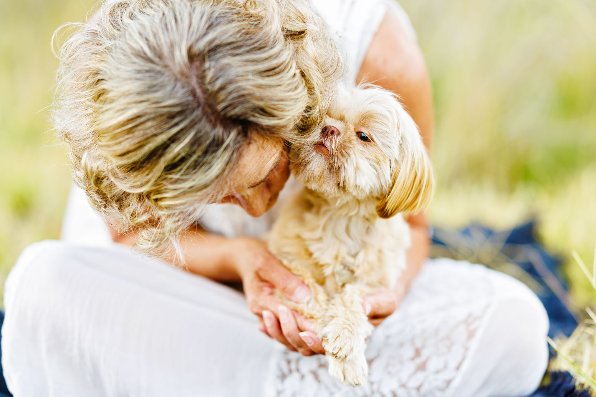 Pet Photographer Grand Junction