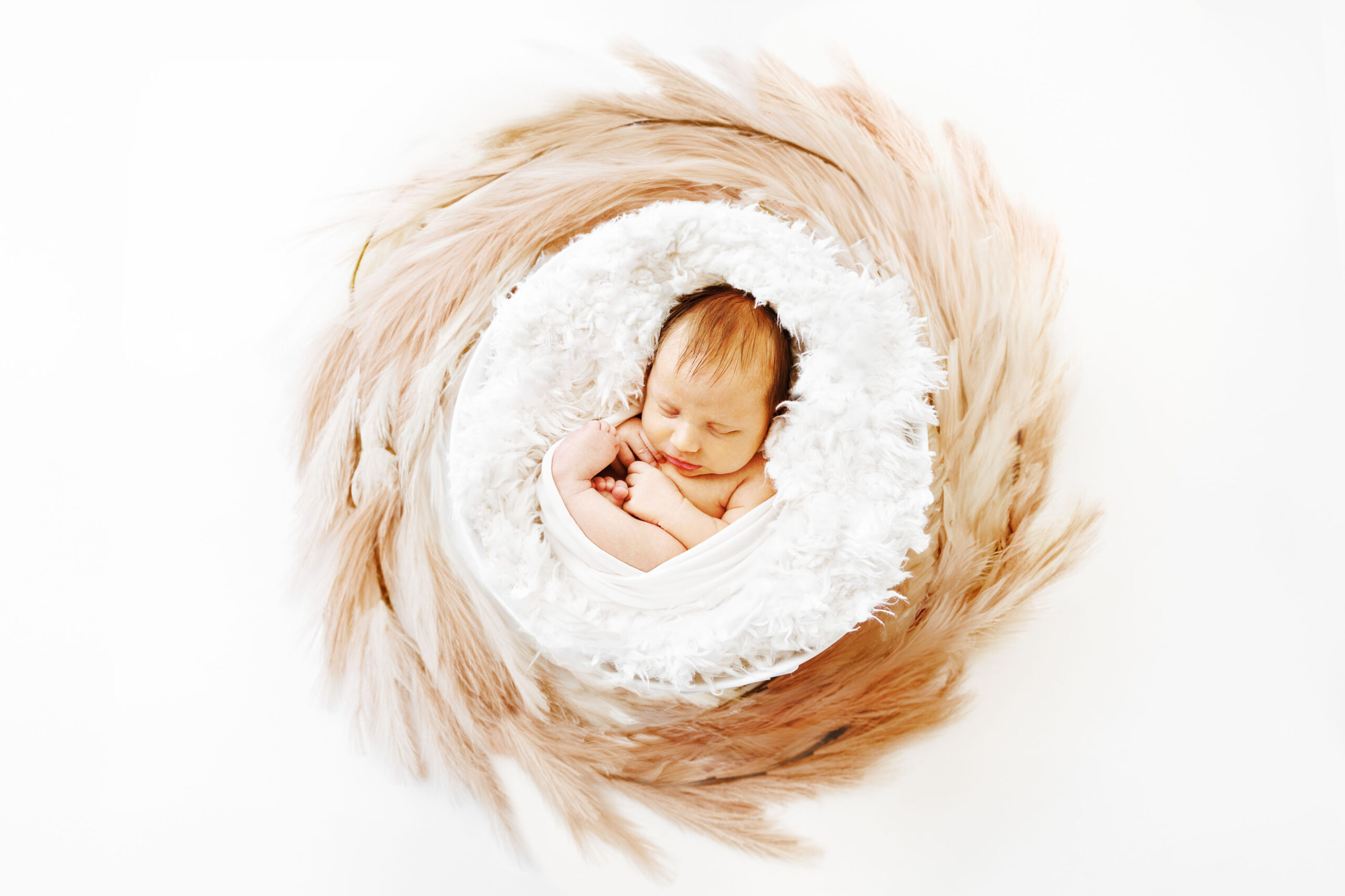 Newborn Photographer Fruita CO