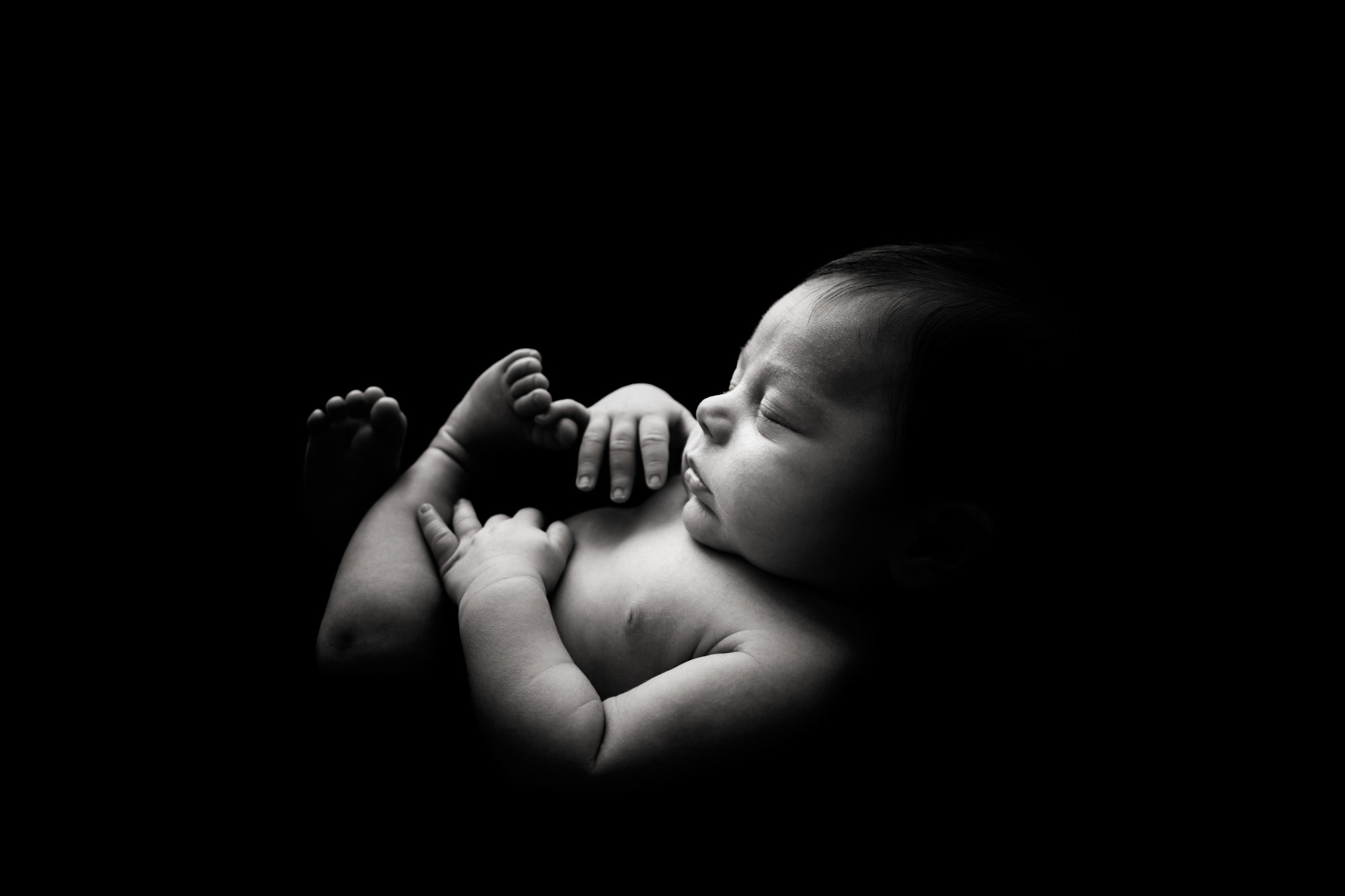 Best Newborn Photographer Grand Junction