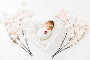 Newborn Photos Grand Junction
