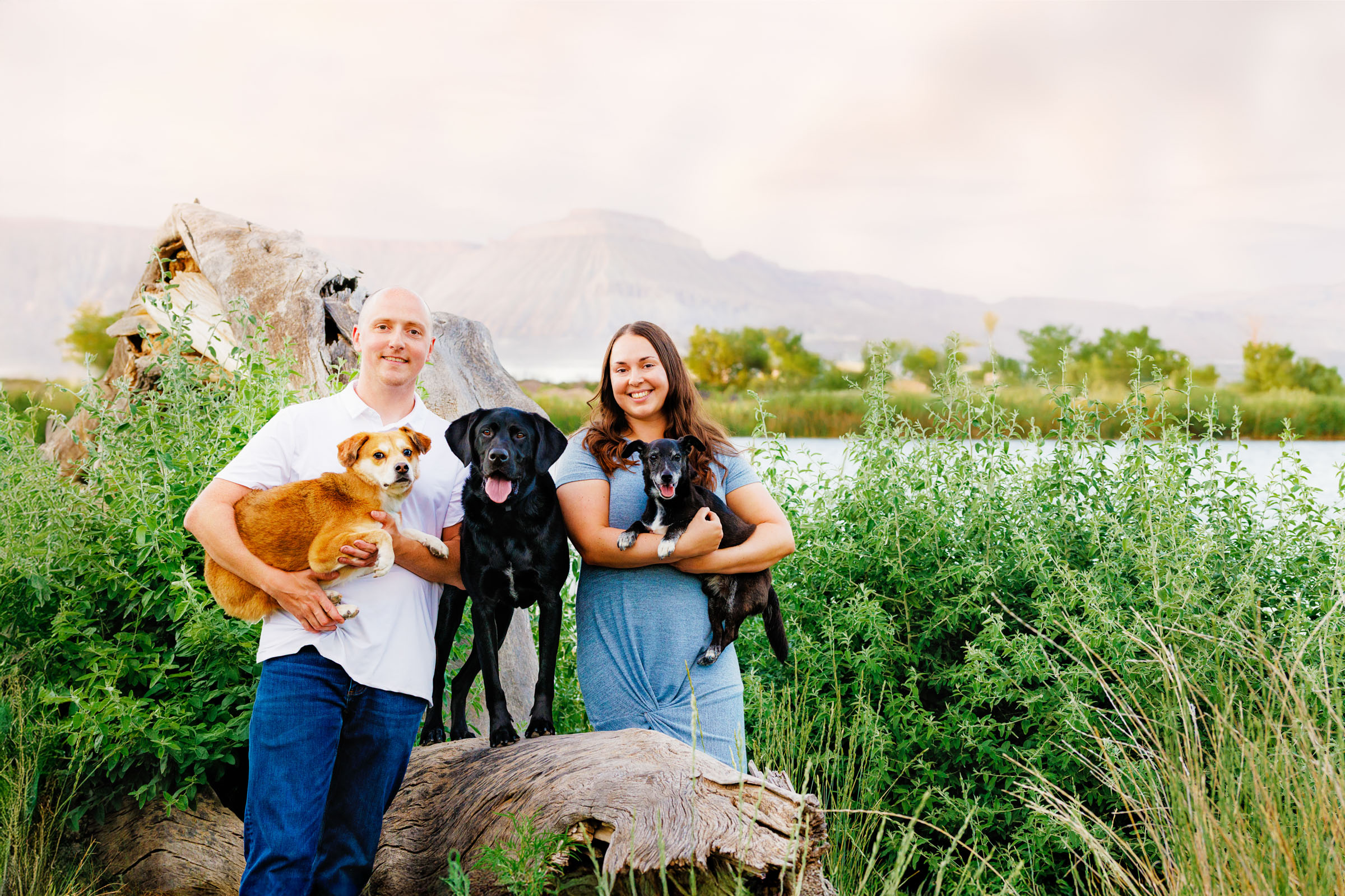Best Pet Photographer Grand Junction