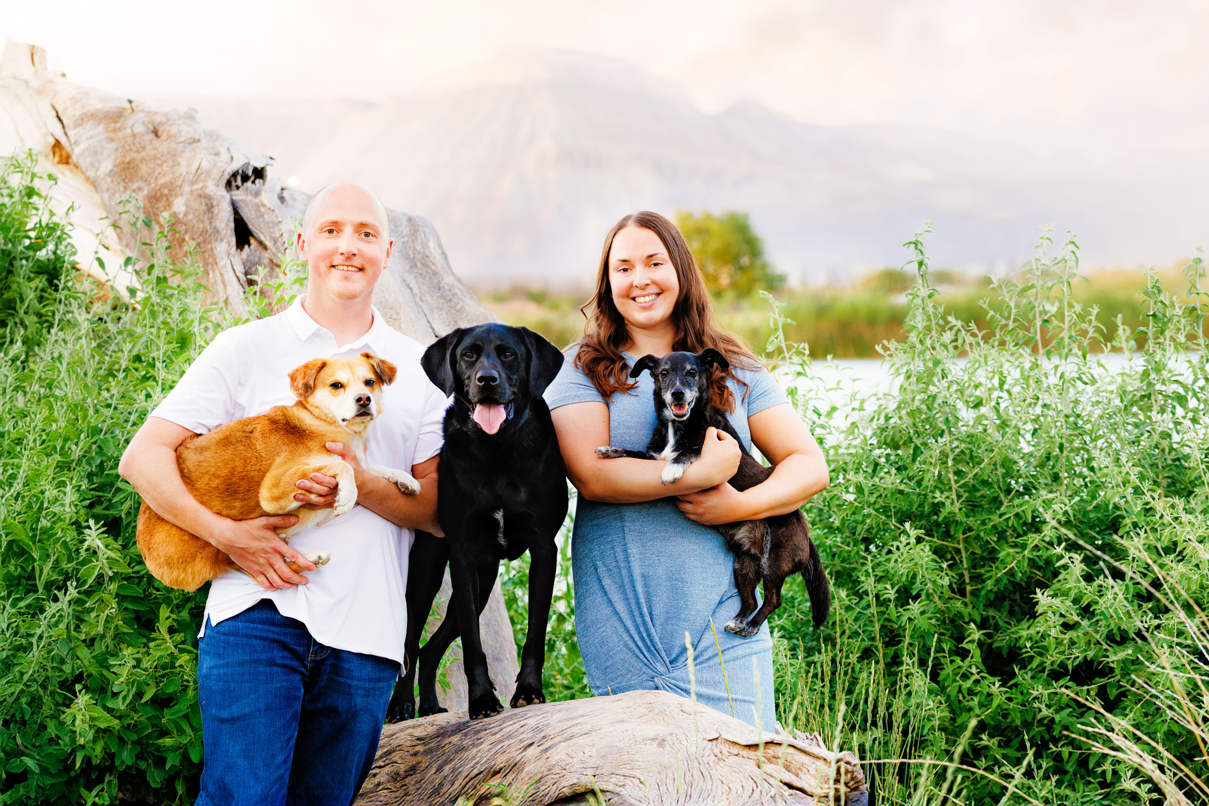 Best Pet Photographer Grand Junction