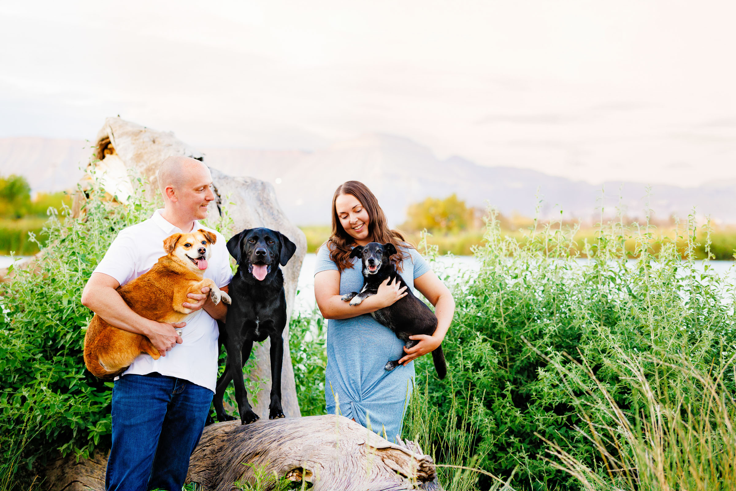Best Pet Photographer Grand Junction